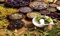 Caution Advised on Recognizing Herbal Remedies as Genuine Medicine