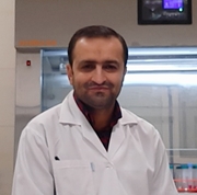 Seyed Mohammad Amin Haramshahi