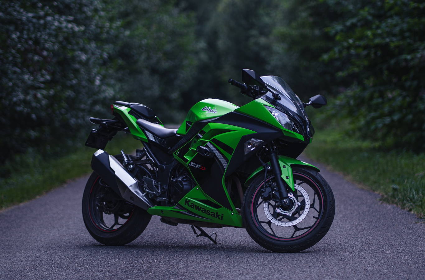 Providing the necessary services for students